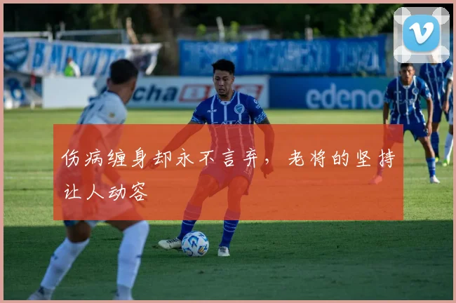 伤病缠身却永不言弃，老将的坚持让人动容