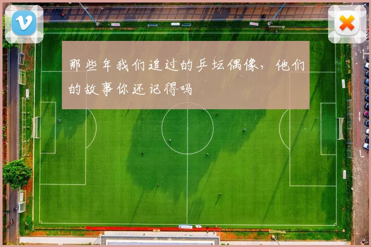 那些年我们追过的乒坛偶像,他们的故事你还记得吗