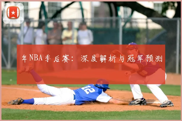 年NBA季后赛:深度解析与冠军预测